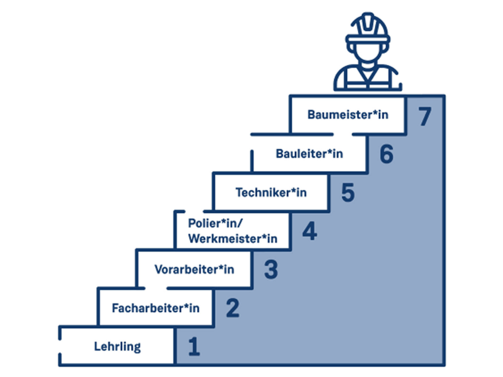 Möglichkeiten nach der Lehre - Grafik